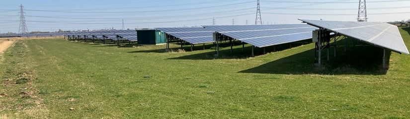 Solar panels in field