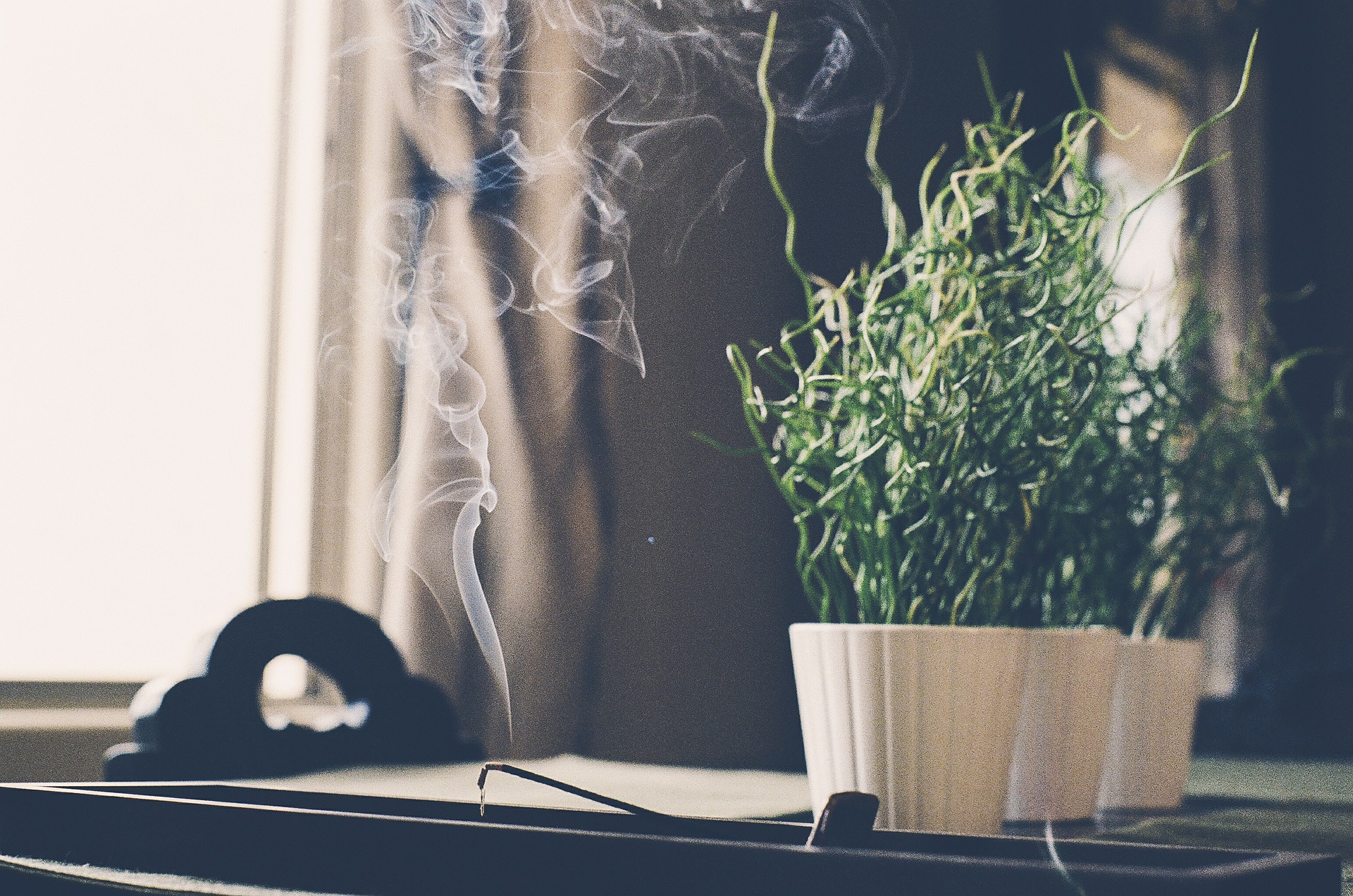 Incense stick alight on a table next to plants