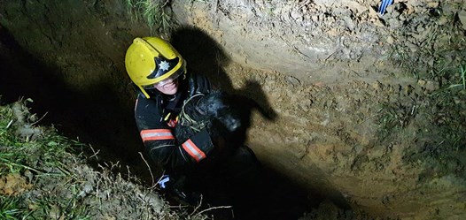 firefighter with rescued dog