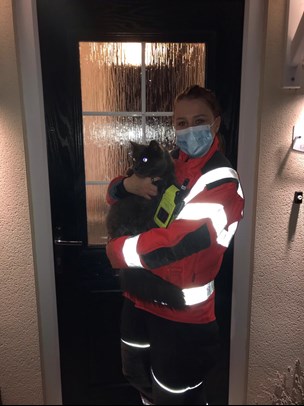 Photo of cat being rescued