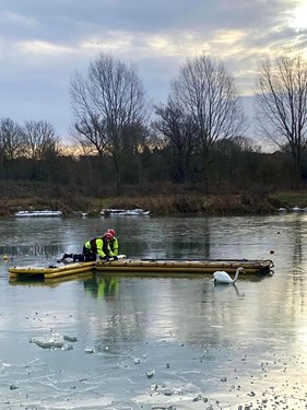 Two firefighters rescuing a swan.