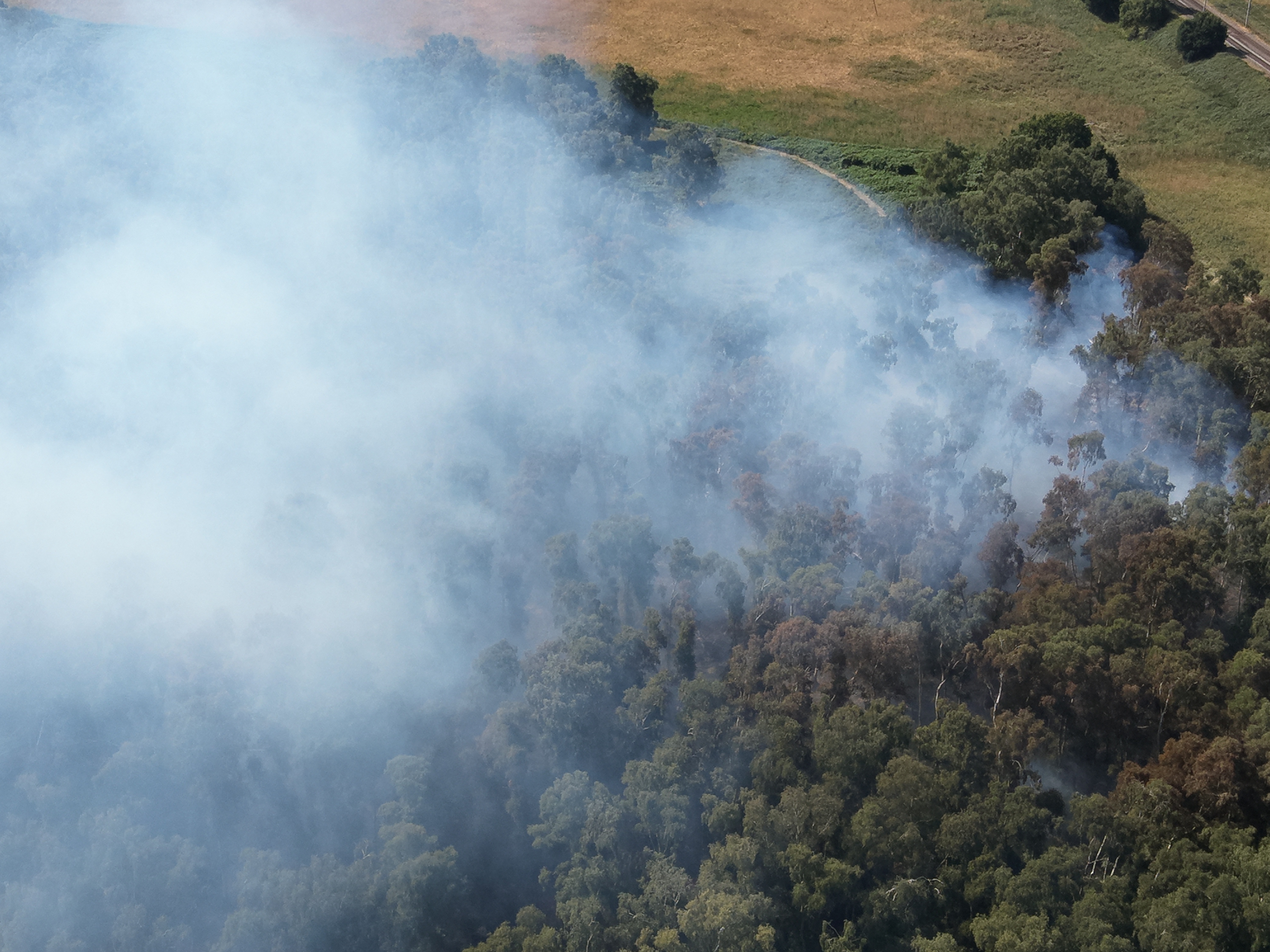 Fire in Holme Fen