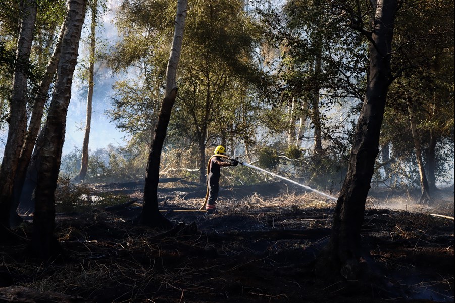 Holme Fen fire