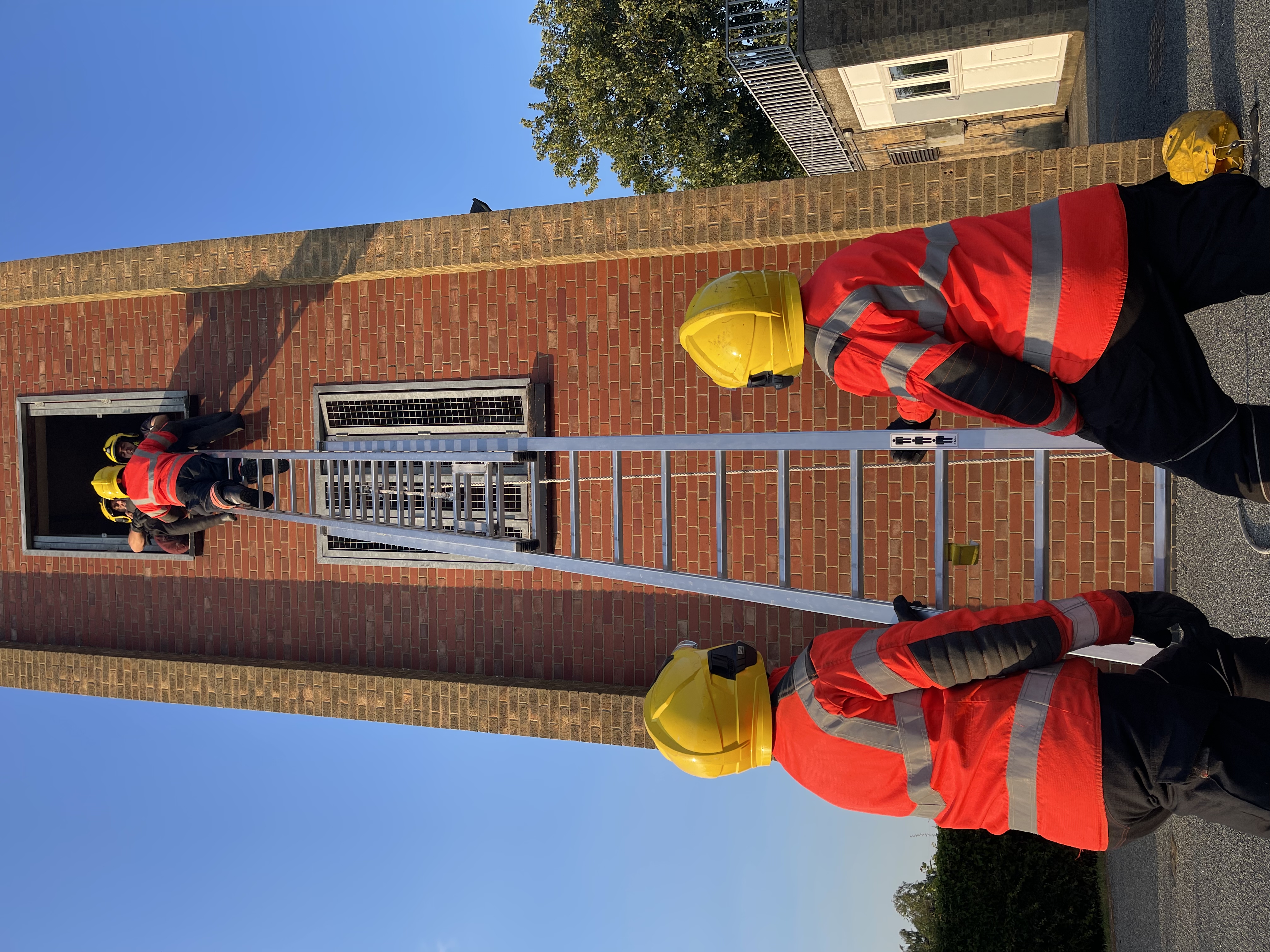 firefighters with ladder